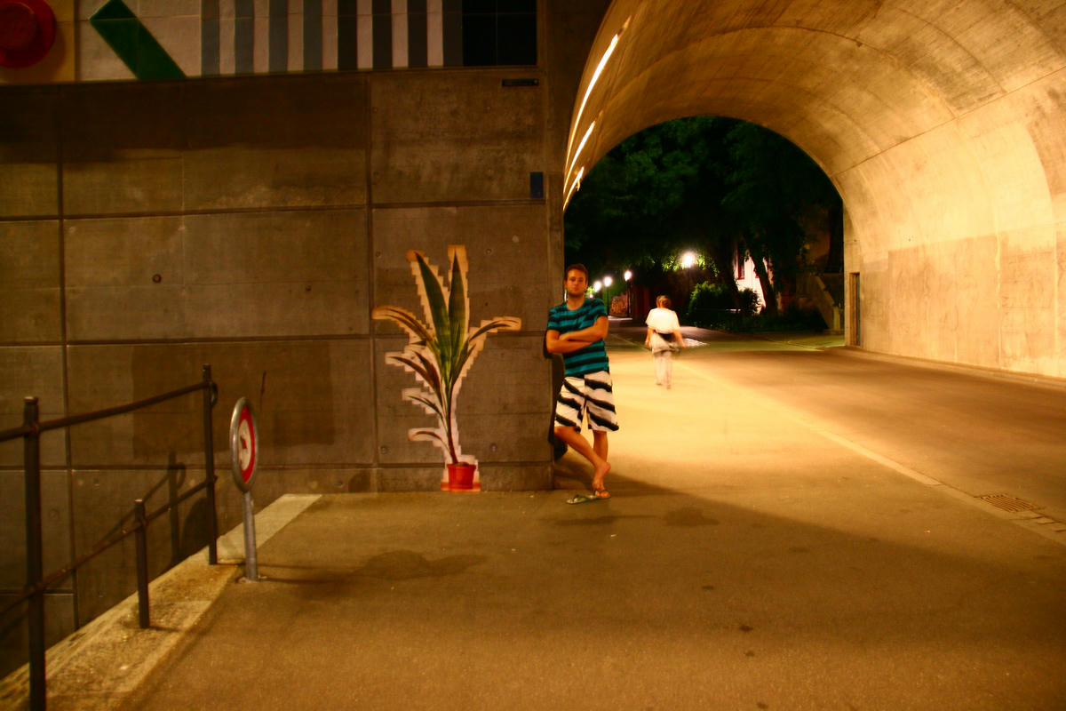 A palm tree on a wall made from small pictures with a man next to it